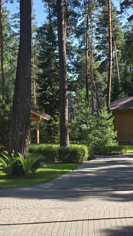 Мощёная дорожка, живые изгороди и сосны на территории комплекса